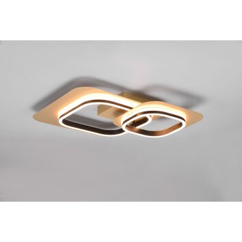 Trio Lugo Ceiling Light LED black-gold, 1-light source
