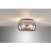 Fischer & Honsel Dima Ceiling Light black, 3-light sources