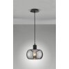 Fischer & Honsel Dima Pendant Light black, 1-light source