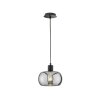 Fischer & Honsel Dima Pendant Light black, 1-light source