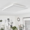 Audrieu Ceiling Light LED white, 2-light sources