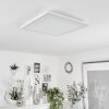 Audrieu Ceiling Light LED white, 2-light sources