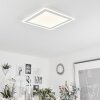 Audrieu Ceiling Light LED white, 2-light sources