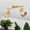 Salinas Ceiling Light brass, 2-light sources