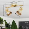 Salinas Ceiling Light brass, 2-light sources