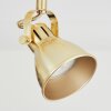 Salinas Ceiling Light brass, 2-light sources