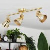 Salinas Ceiling Light brass, 3-light sources