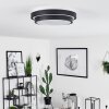 Subles Ceiling Light LED black, white, 1-light source, Motion sensor