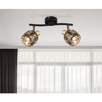 Globo INDIANA Ceiling Light black, 2-light sources