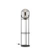 Fischer & Honsel Regi Floor Lamp black, 1-light source