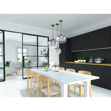 Fischer & Honsel Amos Pendant Light black, 1-light source