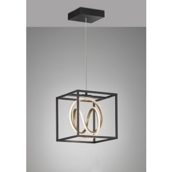 Fischer & Honsel Gisi Pendant Light LED black, 1-light source, Remote control