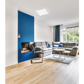 Fischer & Honsel Gorden Ceiling Light LED white, 1-light source, Remote control