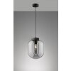 Fischer & Honsel Regi Pendant Light black, 1-light source