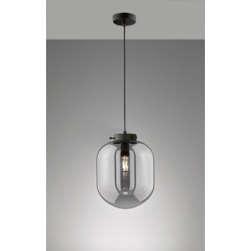 Fischer & Honsel Regi Pendant Light black, 1-light source
