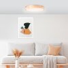 Brilliant Moreen Ceiling Light LED white, 1-light source