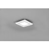 Reality Carus Ceiling Light LED white, 2-light sources