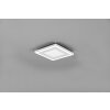 Reality Carus Ceiling Light LED white, 2-light sources