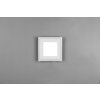 Reality Carus Ceiling Light LED white, 2-light sources
