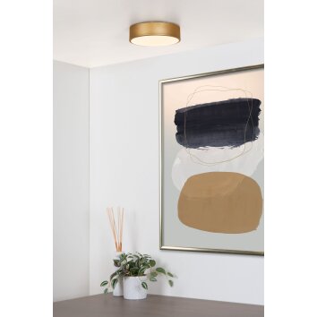 Lucide UNAR Ceiling Light LED gold, brass, 1-light source