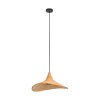 Eglo HAXEY Pendant Light black, 1-light source
