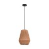 Eglo ALDERNEY Pendant Light black, 1-light source