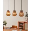 Eglo ALDERNEY Pendant Light black, 3-light sources