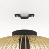 Eglo VENEZUELA Ceiling Light black, 1-light source