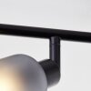 Brilliant Loralie Ceiling Light black, 4-light sources