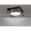 Fischer & Honsel Carre Ceiling Light black, 3-light sources
