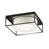 Fischer & Honsel Carre Ceiling Light black, 3-light sources