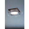 Fischer & Honsel Carre Ceiling Light black, 4-light sources