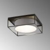 Fischer & Honsel Carre Ceiling Light black, 4-light sources