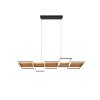 Trio Harper Pendant Light LED black, 1-light source