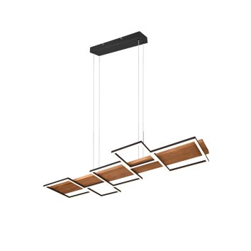 Trio Harper Pendant Light LED black, 1-light source