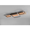 Trio Harper Ceiling Light LED Ecru, black, white, 1-light source