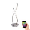 Paul Neuhaus Q-MALINA Table Lamp LED stainless steel, 2-light sources, Remote control