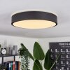 Samaira Ceiling Light LED black, white, 1-light source
