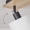 Alsen Ceiling Light Light wood, black, 4-light sources