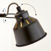 Safari Wall Light chrome, Light wood, black, 1-light source