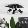 Lanrigan Ceiling Light chrome, black, 4-light sources