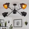 Gaudent Ceiling Light black, 5-light sources