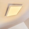 Voisines Ceiling Light LED white, 1-light source, Remote control, Colour changer