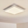 Voisines Ceiling Light LED white, 1-light source, Remote control, Colour changer