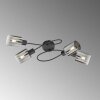 Fischer & Honsel Iska Ceiling Light black, 4-light sources