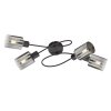 Fischer & Honsel Iska Ceiling Light black, 4-light sources