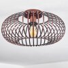 Oravi Ceiling Light copper, 1-light source