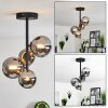Chehalis Ceiling Light black, 4-light sources