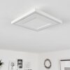 Audrieu Ceiling Light LED white, 2-light sources