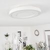 Audrieu Ceiling Light LED white, 2-light sources